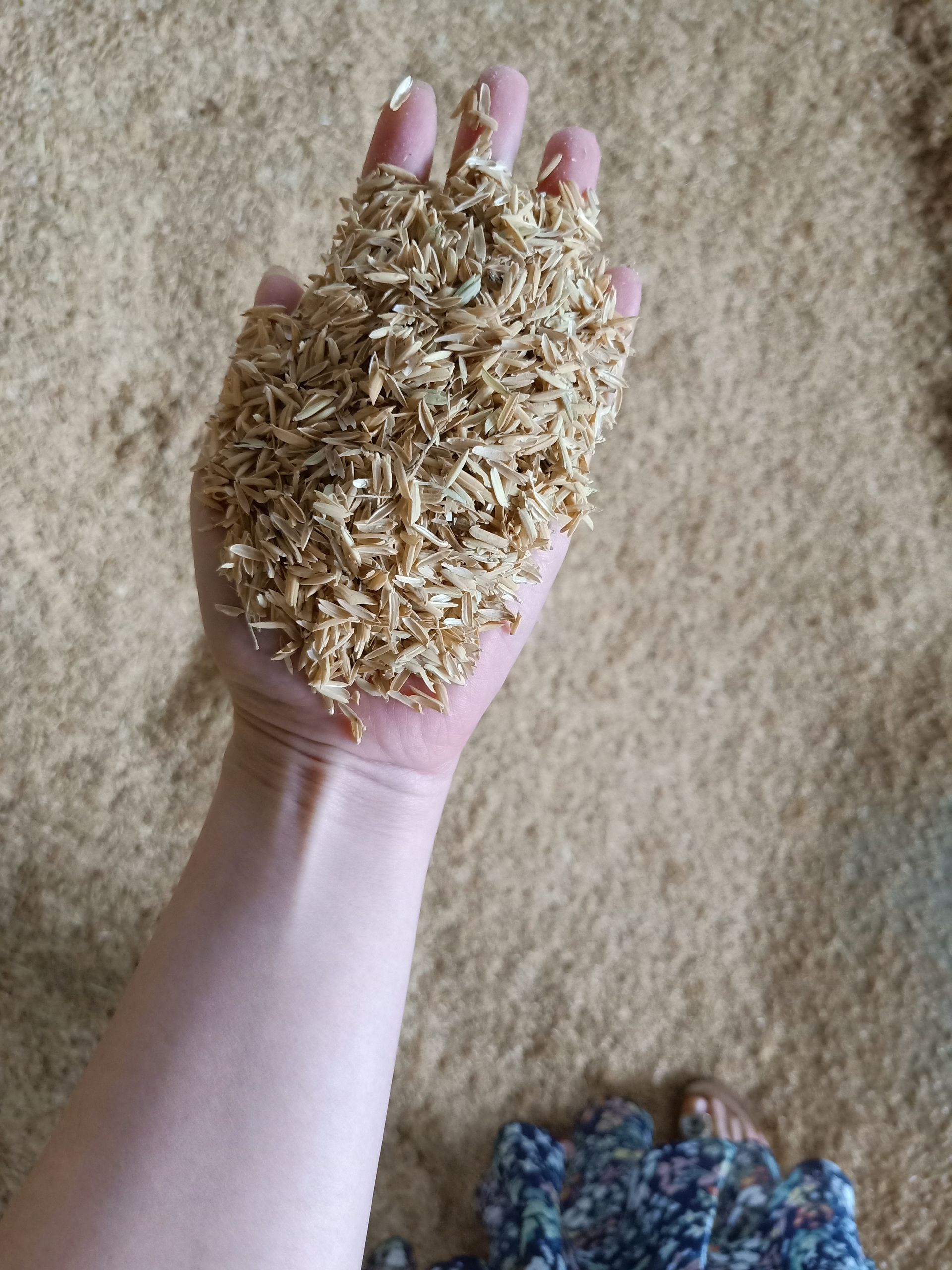 湖北可口香贸易 稻壳粉打包压缩稻壳加工基地